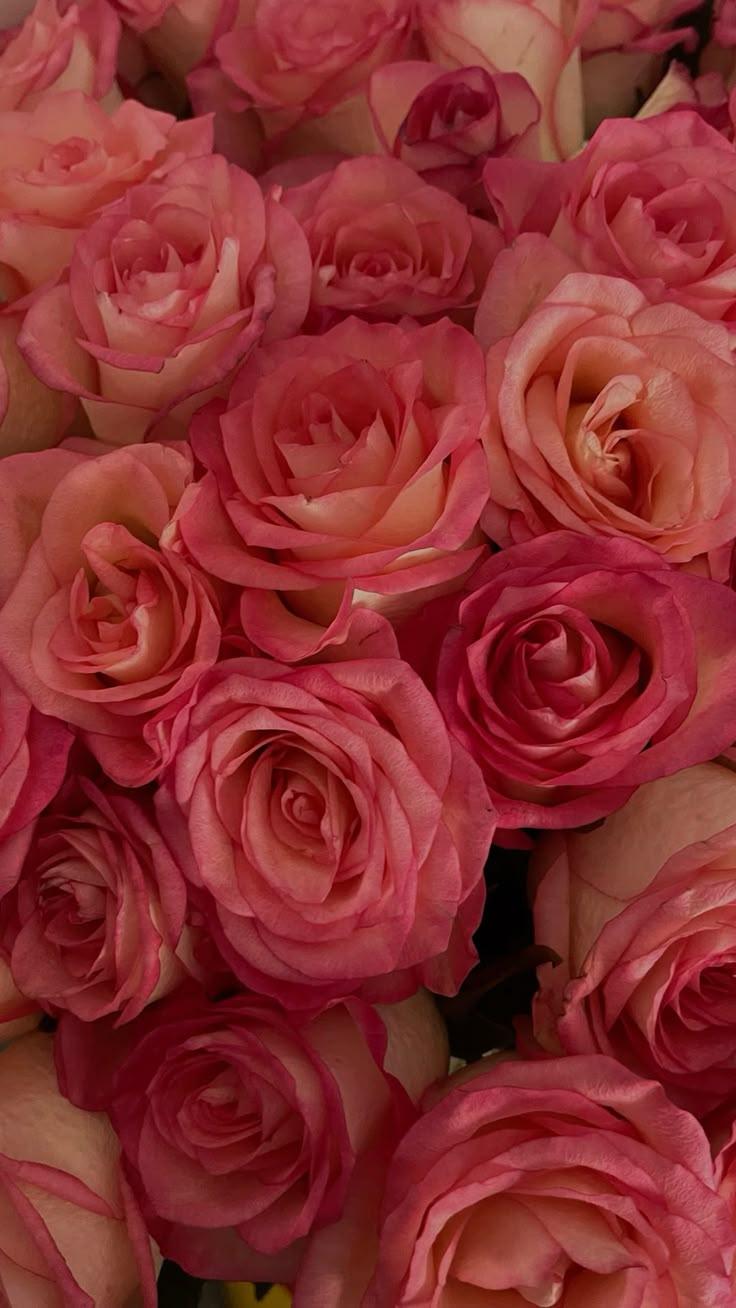 Secret Garden's Enchanting Color Symphony